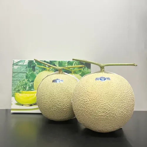 桐箱入りクラウンメロン 山等級 1玉 | 豊洲 河直商店 | 豊洲市場青果お