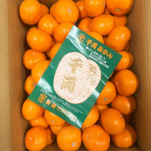 mikan01-500x500.jpg.webp